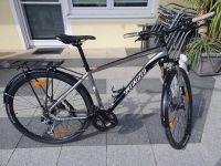 Specialized Crosstrail Pro RHL Alu Herren Rad Fahrrad Bike Cross Bayern - Rennertshofen Vorschau