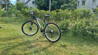 Nopeus cross 26 zoll mountainbike Berlin - Reinickendorf Vorschau