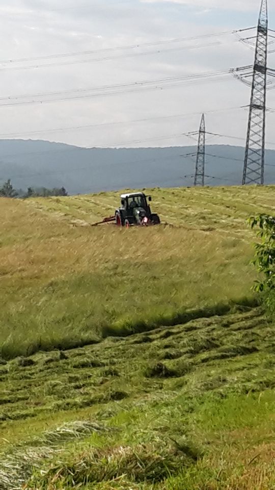 Heu, Pferdeheu in Rundballen 1. Schnitt 2024 in Eitorf