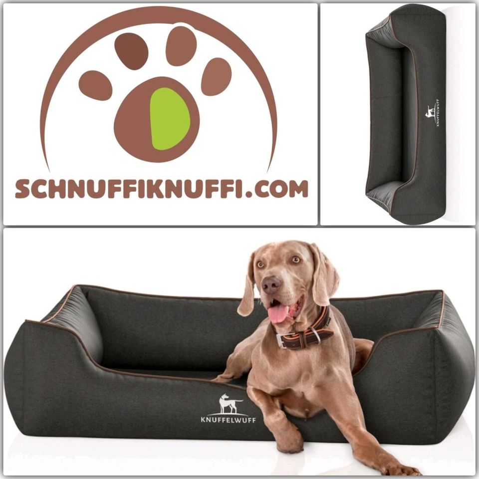 Knuffelwuff Orthopädisches Hundebett Amelie schwarz M-XXXL in Calden