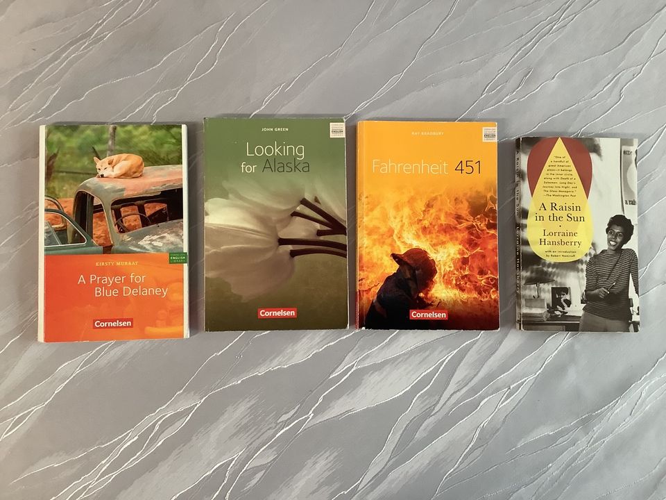 4 Englisch Bücher A Raisin in the Sun Fahrenheit 451 Cornelson in Duisburg