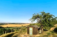 Weinberg in gefragter Lage mit traumhafter Aussicht Sachsen-Anhalt - Salzatal Vorschau