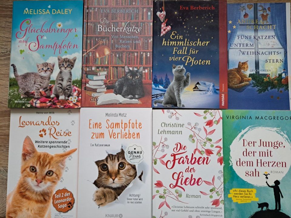 Schacht Andrea Berberich Katzen Bücher Romane Hallig Liebe ab 2,5 in Markt Indersdorf