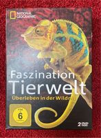 2er DVD Box Faszination Tierwelt national Geographic Hessen - Mörfelden-Walldorf Vorschau