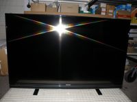 LCD TV 55" Grundig Sachsen-Anhalt - Wespen Vorschau