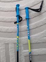 Ski Stock Leki Rider Kinder 100 fast neu Harburg - Hamburg Hausbruch Vorschau