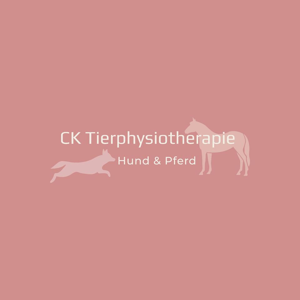 Tierphysiotherapie Hundephysiotherapie Pferdephysiotherapie Bemer in Rheine