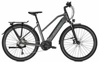 28" Trekking Pedelec Raleigh Kent 10 XXL 625Wh Bosch bis 170kg Sachsen - Hohenstein-Ernstthal Vorschau