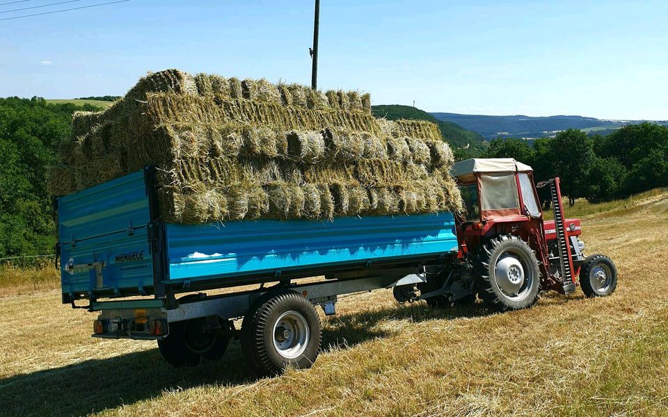 Heu  HD - Ballen in Meisenheim