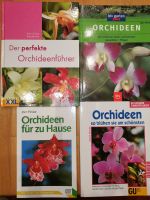 4 Orchideen Bücher-Paket: Rittershausen,Jörn Pinske,Frank Röllke Niedersachsen - Melle Vorschau