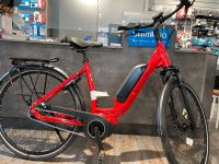 E-Bike Gudereit EC-4 Niedersachsen - Burgdorf Vorschau