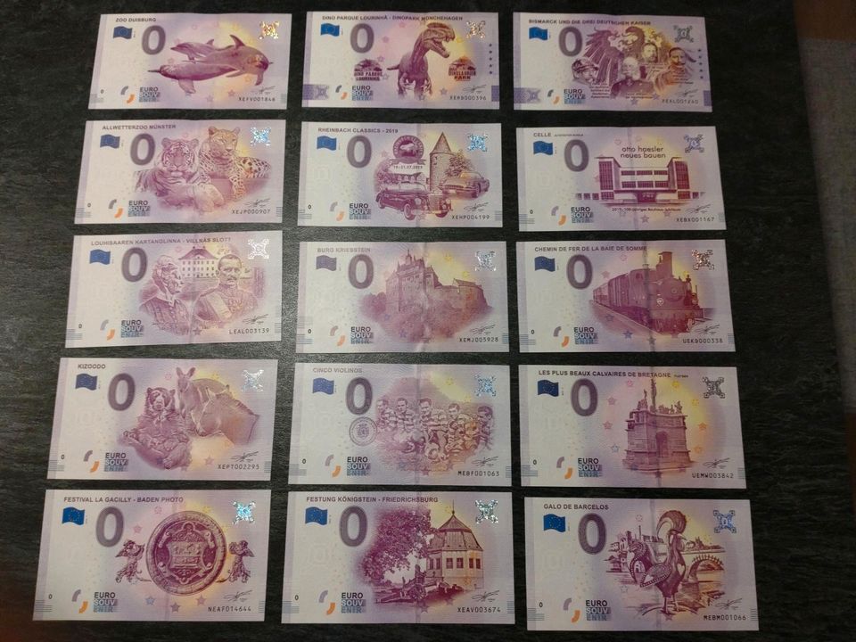 50   0 Euro Scheine in Probsteierhagen