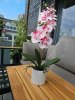 Kunstblume Orchidee Kreis Pinneberg - Schenefeld Vorschau