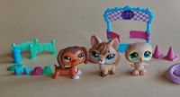 Littlest Pet Shop LPS Trainin' Park Set #673 #674 #675 Sendling - Obersendling Vorschau