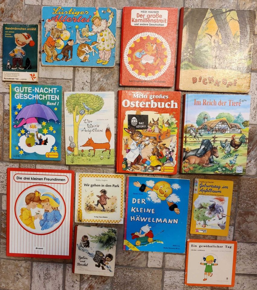 Bücher Kinderbücher Bastelbuch Sesamstraße Bibi Teddy in Dresden