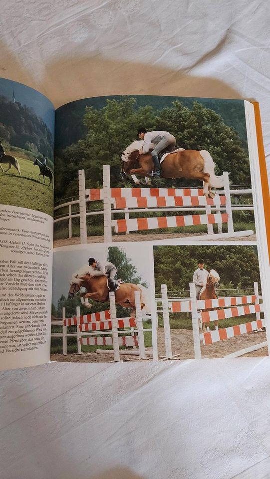 Buch "Haflinger Pferde" (Neuausgabe) in Kulmbach