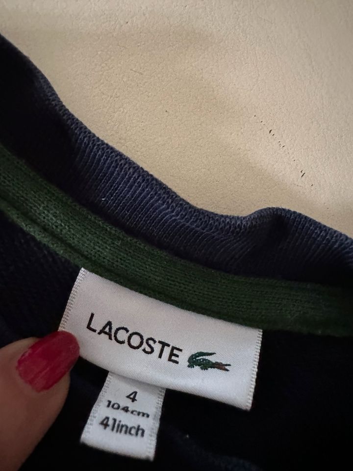 Original lacoste Pullover 4 Jahre 98 104 blau festlich in Ottobrunn