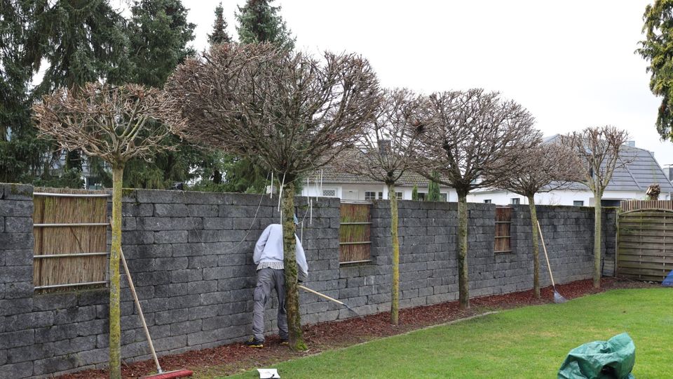 Gartenarbeit & Gartenpflege in Eppertshausen