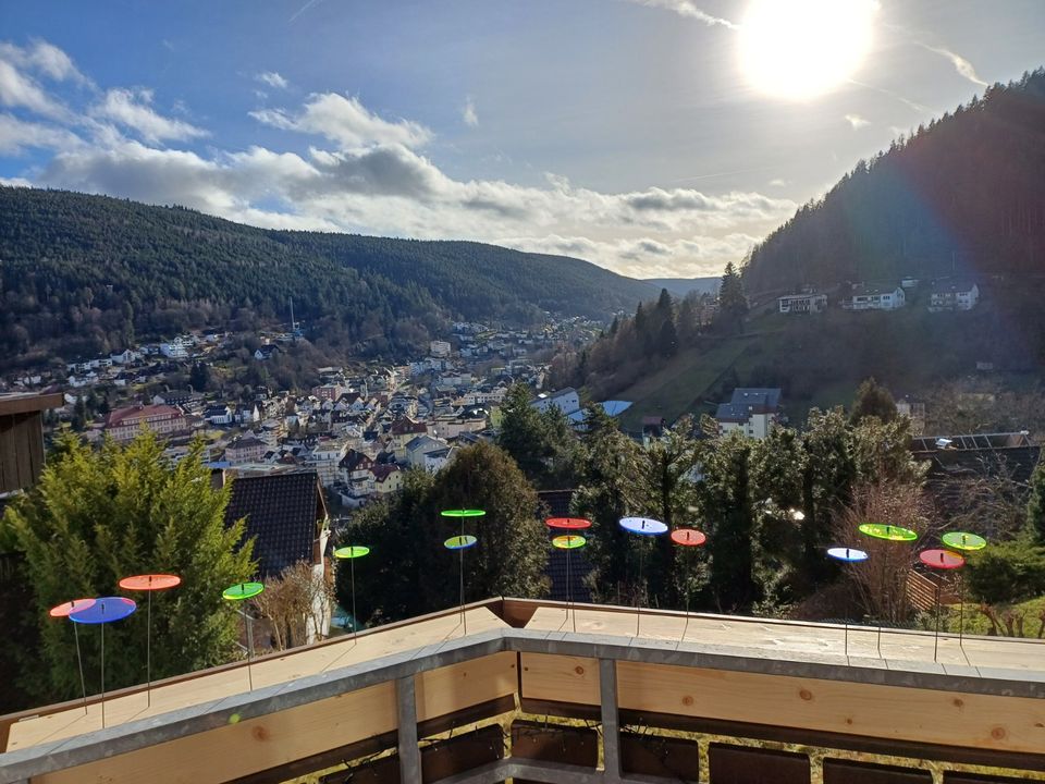 Panoramablick Ferienwohnung im Schwarzwald in Bad Wildbad