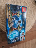 Lego Harry Potter 75945 Hessen - Büttelborn Vorschau
