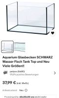 Glasbecken Aquarium/Terrarium - NUR ABHOLUNG Sachsen - Raschau-Markersbach Vorschau