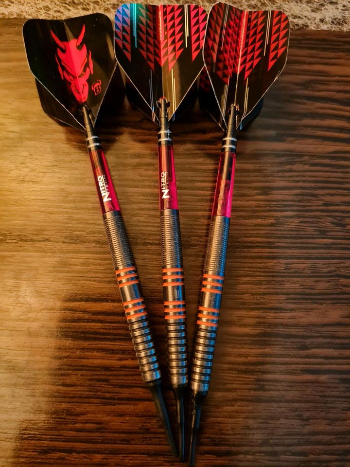 Raymond Van Barneveld 20g, 80% Tungsten Soft Darts + 3 Shafts in Gusenburg