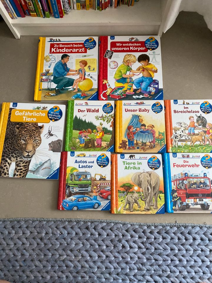 Wieso weshalb warum Bücher Kinderarzt Körper  Wald Autos Baby zoo in Kassel