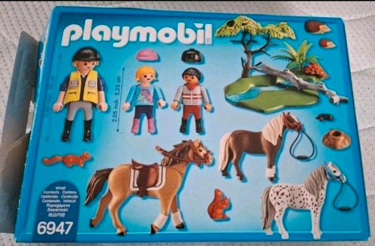 Playmobil 6947 Pferde Ausritt mit und viel Zubehör neuwertig in Walldürn