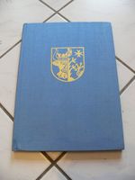 Buch Ludwigslust - Eine kulturhistorische Skizze Krüger Sachsen - Mügeln Vorschau