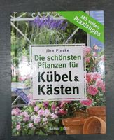 Pflanzen für Kübel und Kästen , Garten, Terrasse, Balkonblumen Hessen - Hungen Vorschau