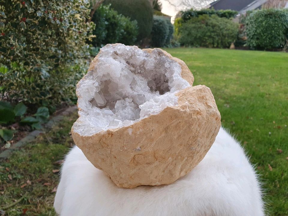 Gemmy Coelestin Geode / Druse mit Quarz Mineral Deko Esoterik in Mainz