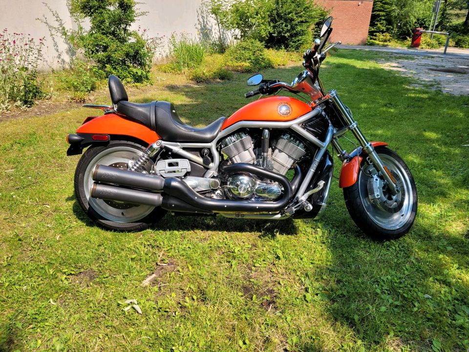 Harley Davidson Vrod - gepflegter Zustand in Schneverdingen