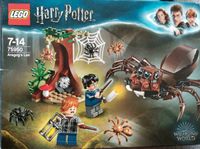 Lego Harry Potter Aragogs Versteck Bayern - Hemhofen Vorschau