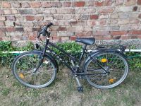 Fahrrad Giant ChinOok / Size 16 / Shimano 18 Gang Aachen - Aachen-Brand Vorschau