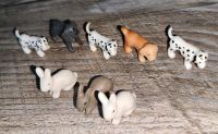 Playmobil Hunde Hasen Tier Figuren Set Nordrhein-Westfalen - Niederkrüchten Vorschau