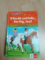 Buch Bibi&Tina, "Pferde satteln, fertig, los!", 4 Geschichten Hessen - Langen (Hessen) Vorschau