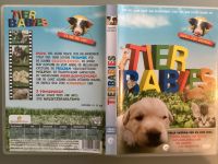 DVD - TIER BABIES Einfach zum Knuddeln Rheinland-Pfalz - Mainz Vorschau