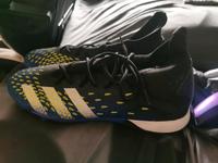 Adidas predator neu nur heute Hamburg-Nord - Hamburg Groß Borstel Vorschau