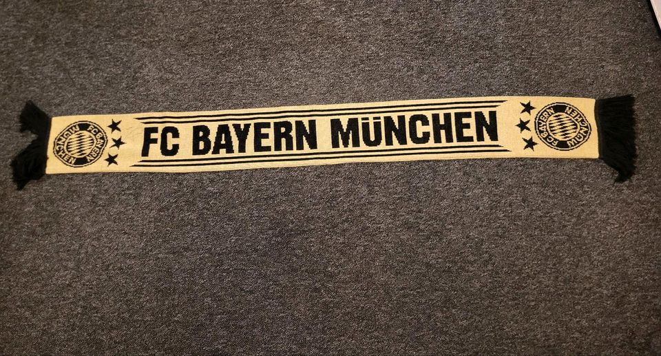 FC Bayern München schal in Peine