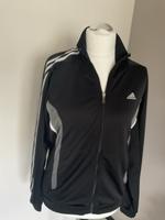 Adidas Damen Jacke Hessen - Schauenburg Vorschau