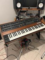 Vintage Prophet 5 rev 3 mit Kenton MIDI Hessen - Gründau Vorschau