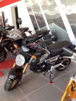 Honda MSX 125 GROM jetzt zum Aktionspreis Rheinland-Pfalz - Münchweiler an der Rodalb Vorschau