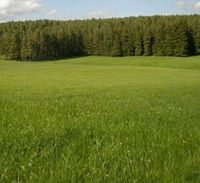 landwirtschaftsfläche oder ein Grundstück Hessen - Bad Wildungen Vorschau