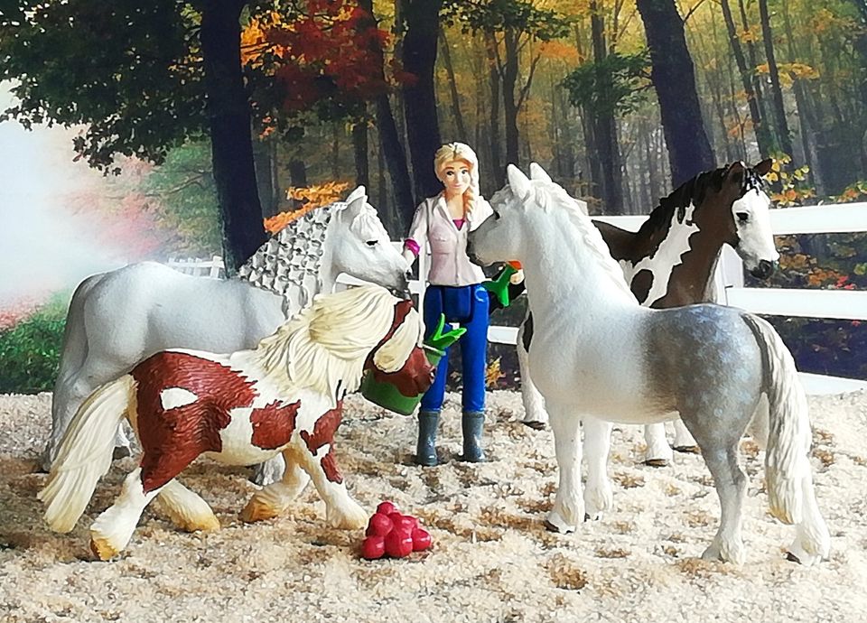 Schleich 13297, 13695, 13739, 13871 Pflegerin mit Ponys in Leverkusen