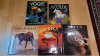 Bücher, Vögel, Erlebnis Pferde, Grazie & Schönheit, Afrika, Affen Rheinland-Pfalz - Contwig Vorschau