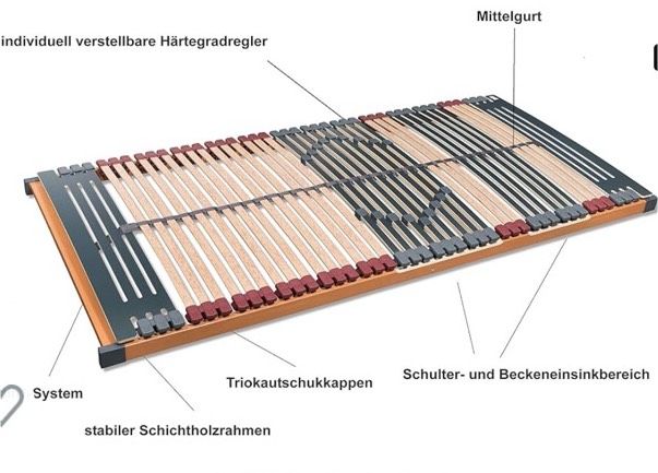 Lattenrost 2 Stück a 100 x 200 cm in Duisburg