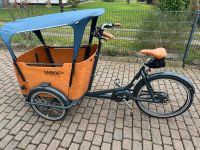 Babboe Go Mountain Lastenfahrrad Niedersachsen - Jork Vorschau