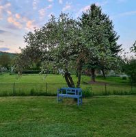 Garten 800qm in Sollstedt Thüringen - Bleicherode Vorschau