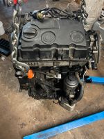 VW BMM Motor 2.0TDI DEFEKT Caddy Golf Touran Brandenburg - Ortrand Vorschau