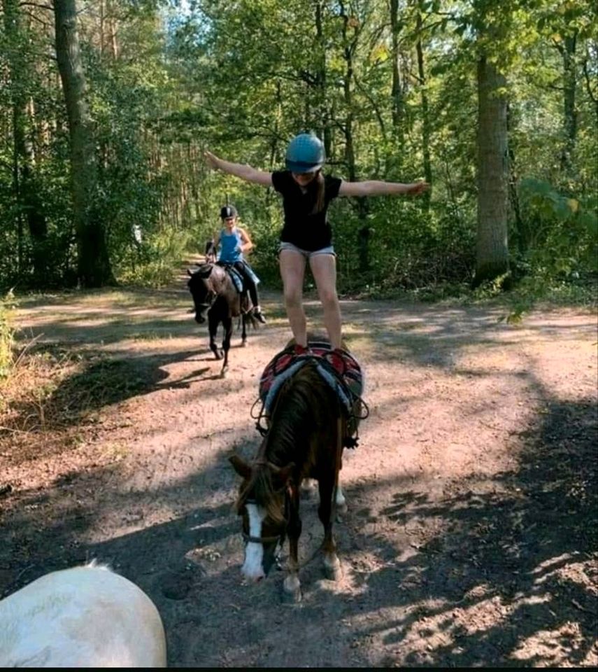 Sommerferien Reiterferien Reitercamp Tageskinder Kinderferien in Velten